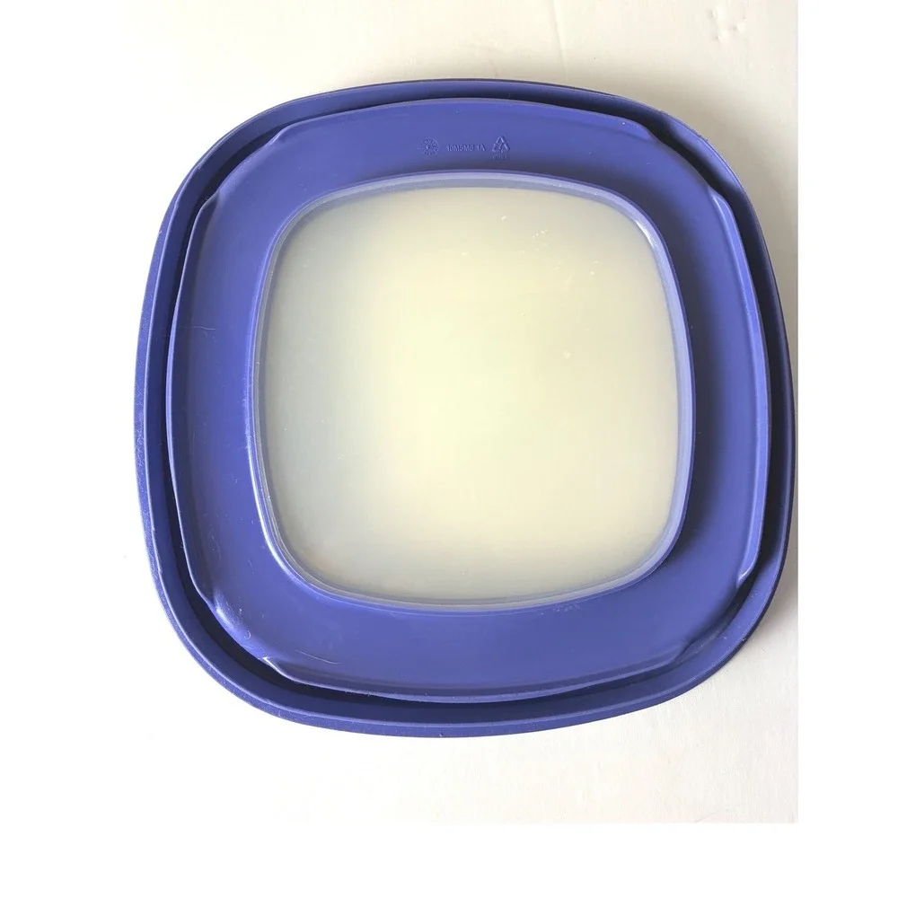 READ Rubbermaid‎ Blue Square Replacement Lids Food Storage Container Lid Lot